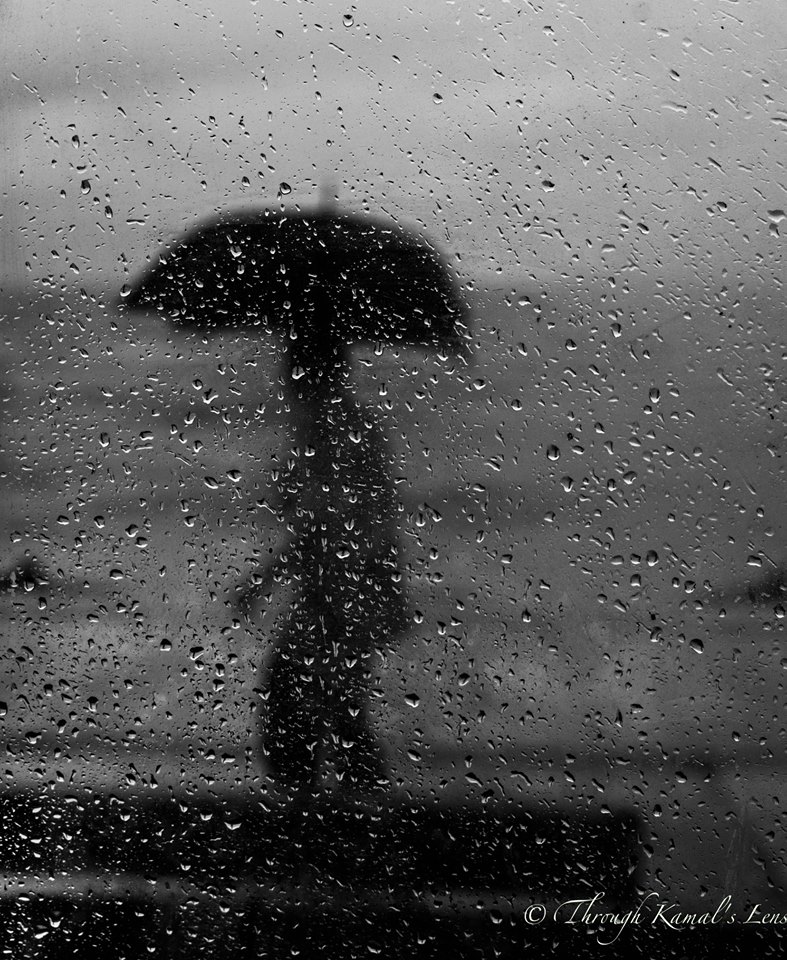 A Monsoon Walk